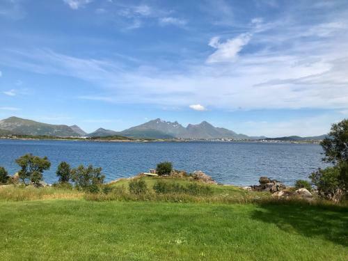 Eagle Bay Lofoten