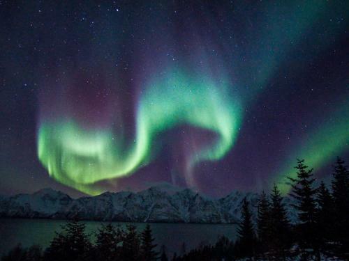 Lyngen Vista