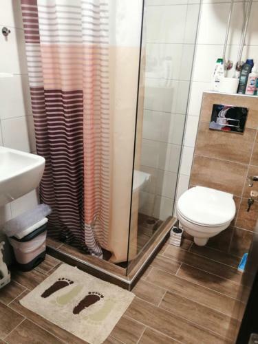 Apartman Darja Srebrno Jezero