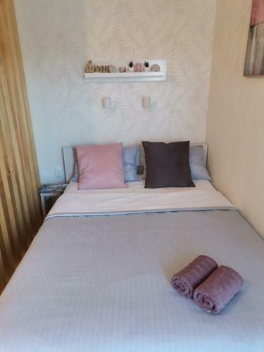 Apartman Darja Srebrno Jezero