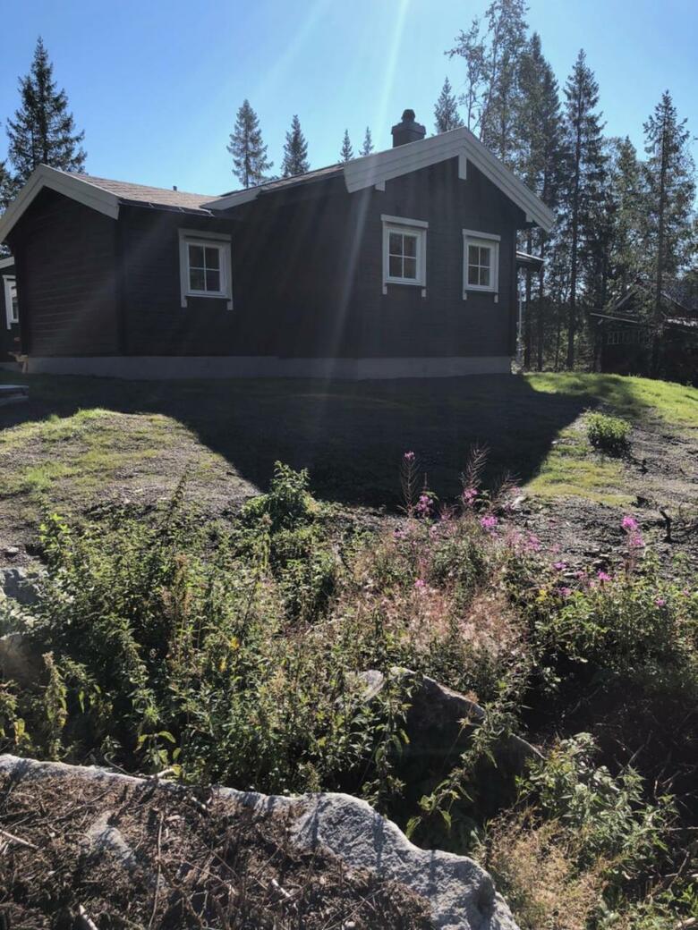 Lodge Fresh Familie Hytte Hemsedal