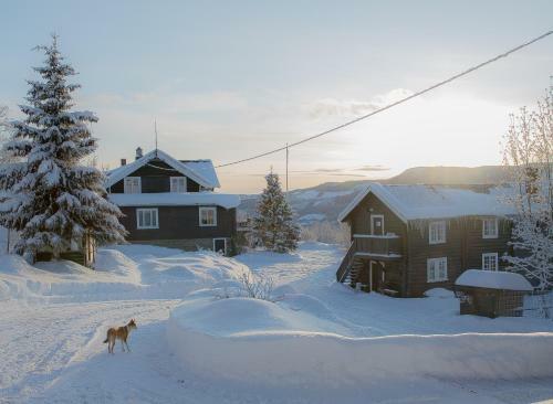 Hostal Eikre Fjellg�rd