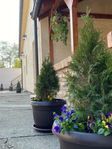 Apartamento Omis Rooms