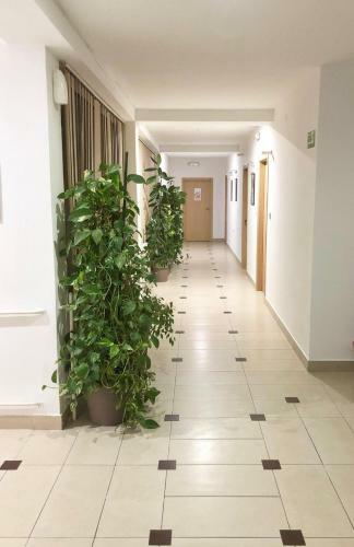 Hotel Inn Po?arevac