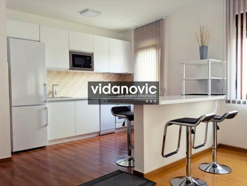 Lux Studio Apartment Vidanovic