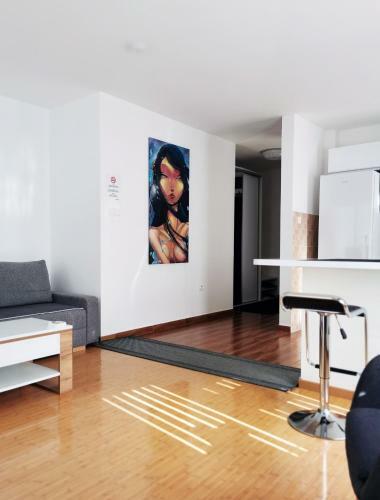 Lux Studio Apartment Vidanovic