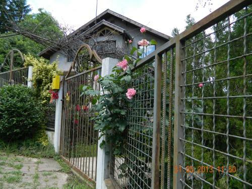 Apartman Nikola