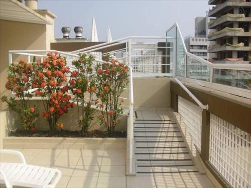 Apartamento Linda Cidade De Santos 1009