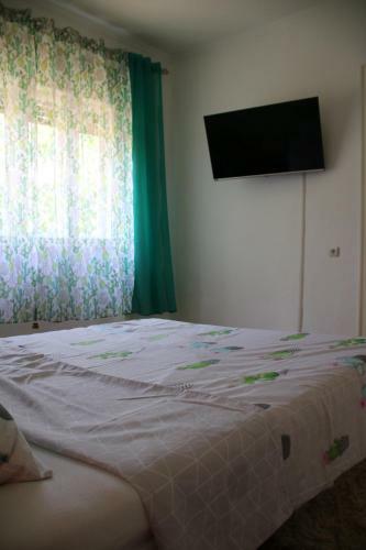 Apartamento Green Cactus Rooms - Unique And Cozy House