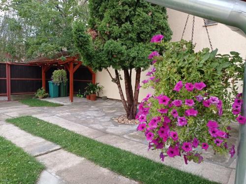 Apartman Ady 6