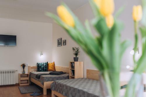 Apartman Ady 6