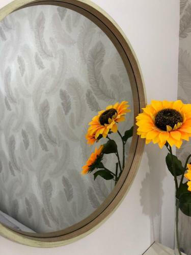 Apartmani Milan-o ?abac