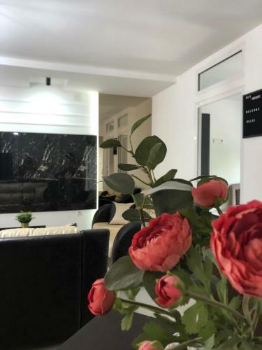 Lux Apartmani Milan-o