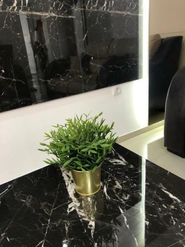 Lux Apartmani Milan-o