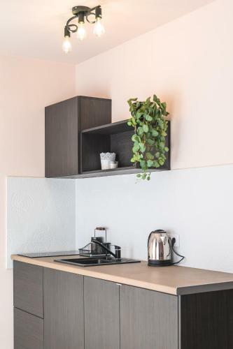 Apartmani Mis