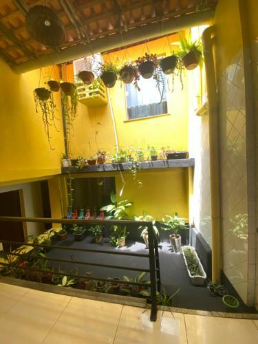 Rioslz Hostel