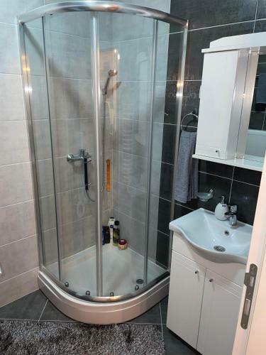 Apartments Novi Sad