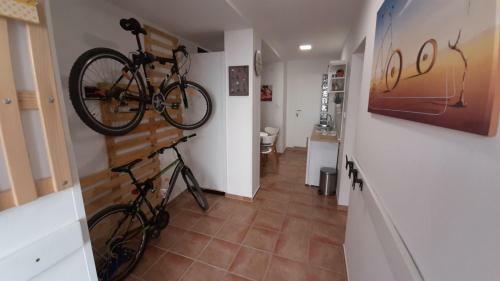Apartamento Bed&bike