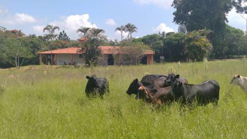 Fazenda Deussol