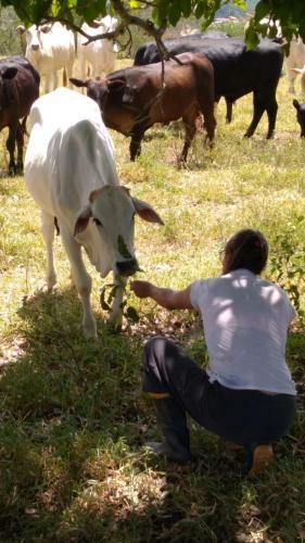 Fazenda Deussol