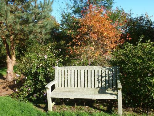 Bed & Breakfast Manoir De Savigny