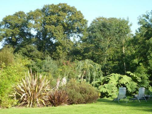 Bed & Breakfast Manoir De Savigny