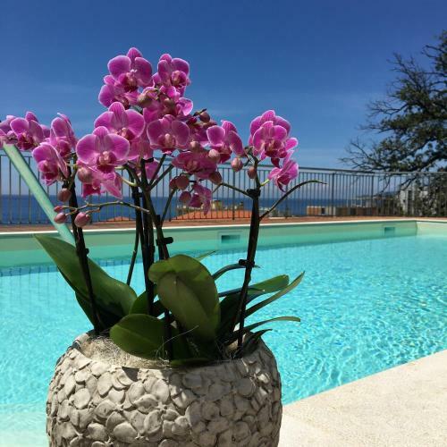 Hotel Mediterraneo