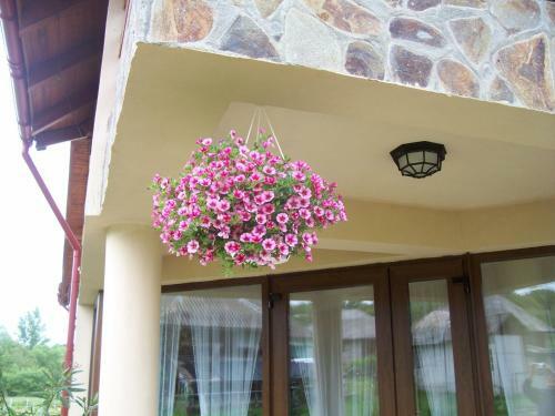 Hostal Pensiunea Mara