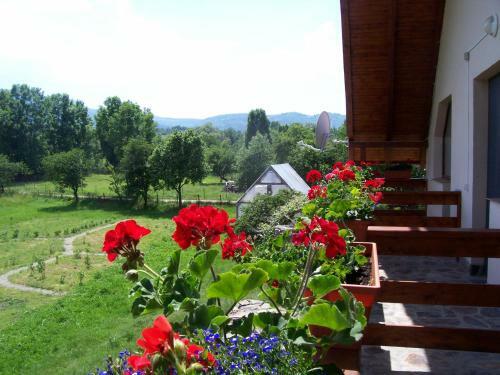 Hostal Pensiunea Mara