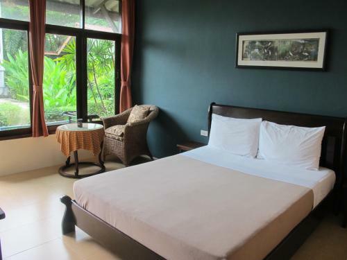 Hotel Phuket Siam Hostel