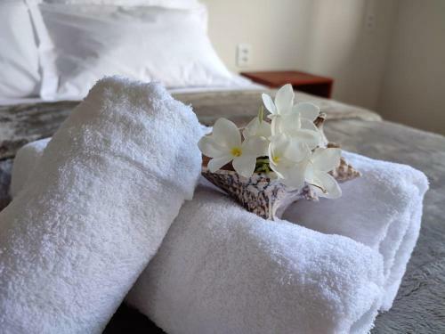 Hostal de Ventto Em Popa - S�o Miguel Do Gostoso Rn