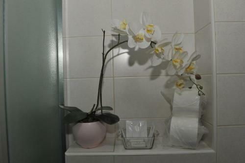 Angellina Apartmani