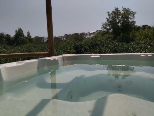Casa De Vidro