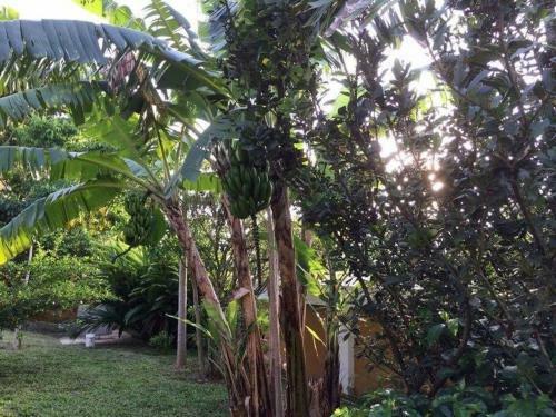 Lindo Chal� Com Piscina E Churrasqueira Em Ita�na