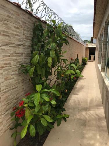 Casa Do Paraiso