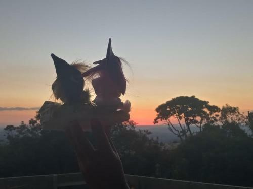 Posada Pousada Duende Feliz