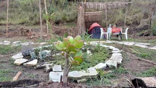 Eco S�tio Novo Aeon