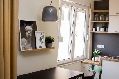 Apartman Zeka Paragvajac