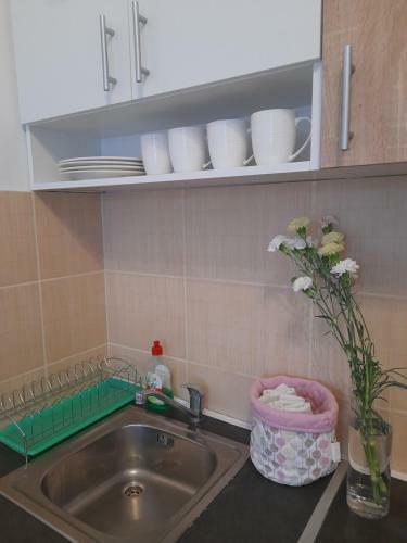 Matije Gupca 91 Apartman