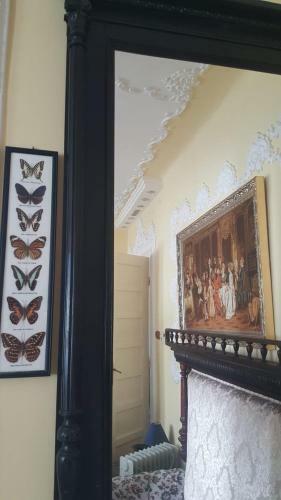 Villa Vila Violeta