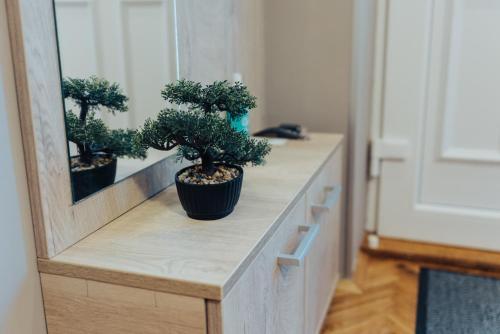 Apartamento Dumalux Velvet