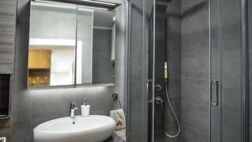 Apartment Delux 14