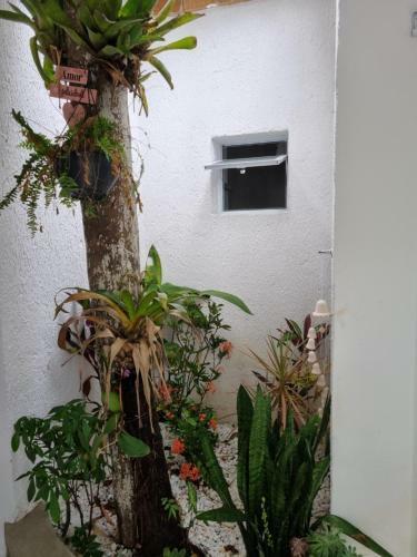 Casa Linda Na Rua Da Praia