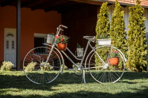 Apartamento Dumalux Corner