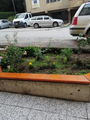Apartamento Lara