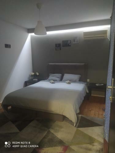 Apartmani Aleksic
