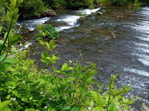 Apartman Cherry Gradac Valjevo