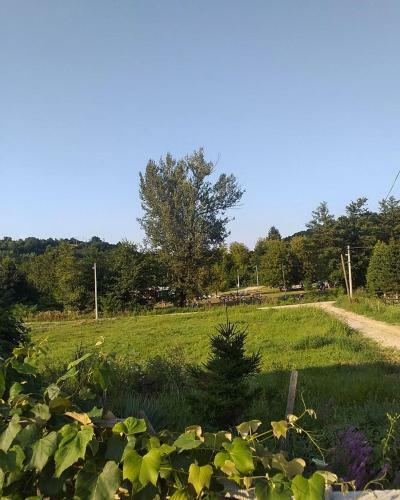 Apartman Cherry Gradac Valjevo