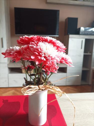 Apartamento Iva Centar