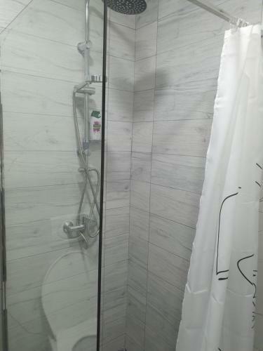 Apartmani Andrejic